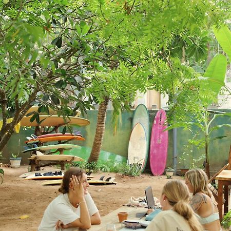 Waypoint Arugam Bay Hostel Ngoại thất bức ảnh