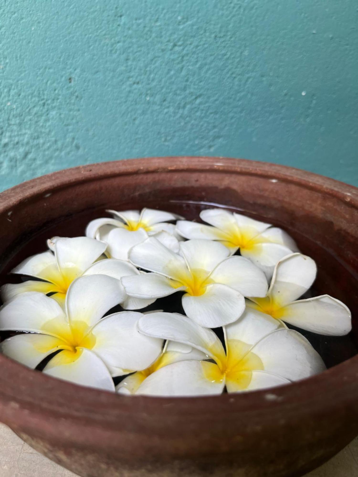 Waypoint Arugam Bay Hostel Ngoại thất bức ảnh