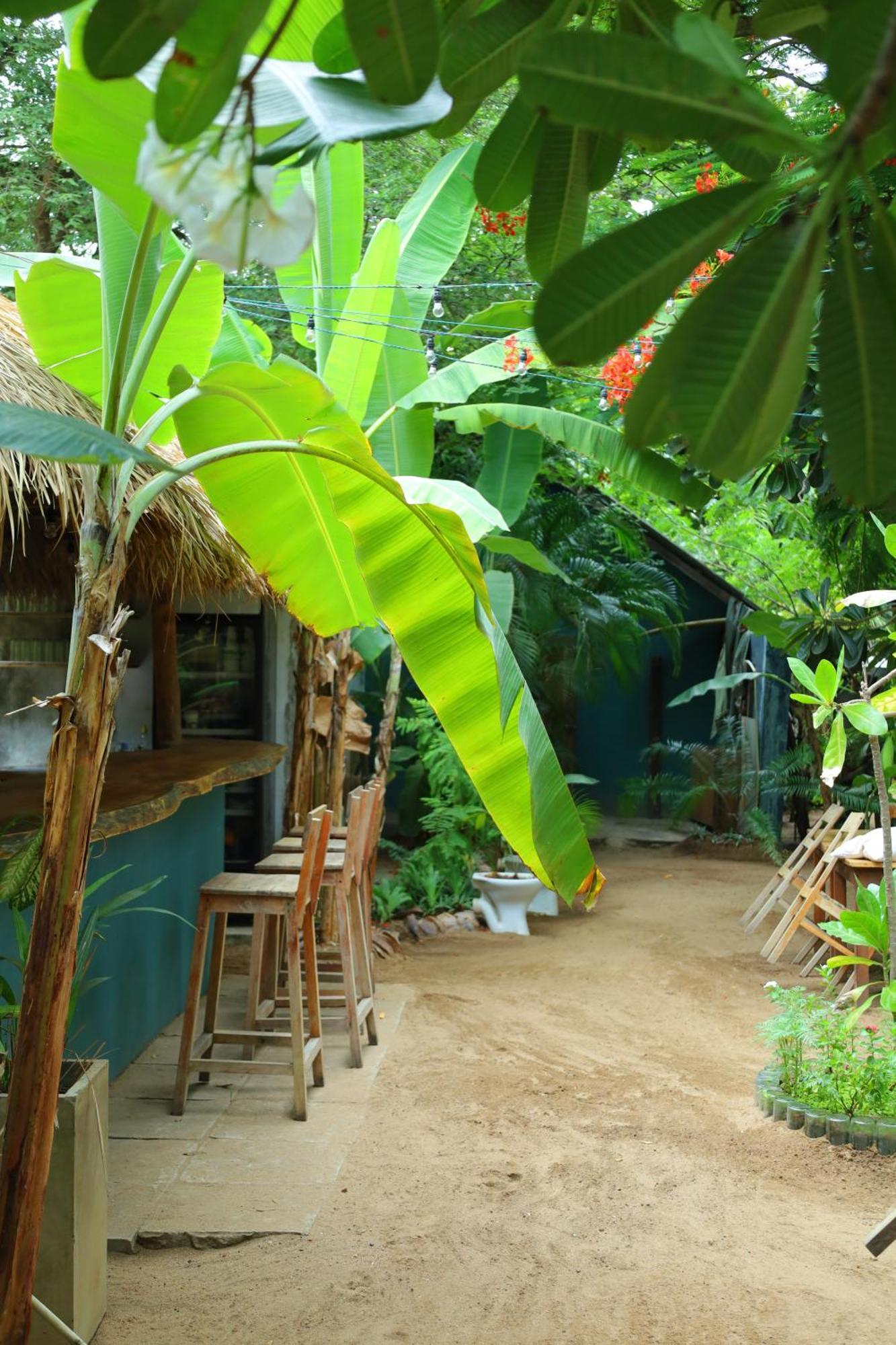 Waypoint Arugam Bay Hostel Ngoại thất bức ảnh