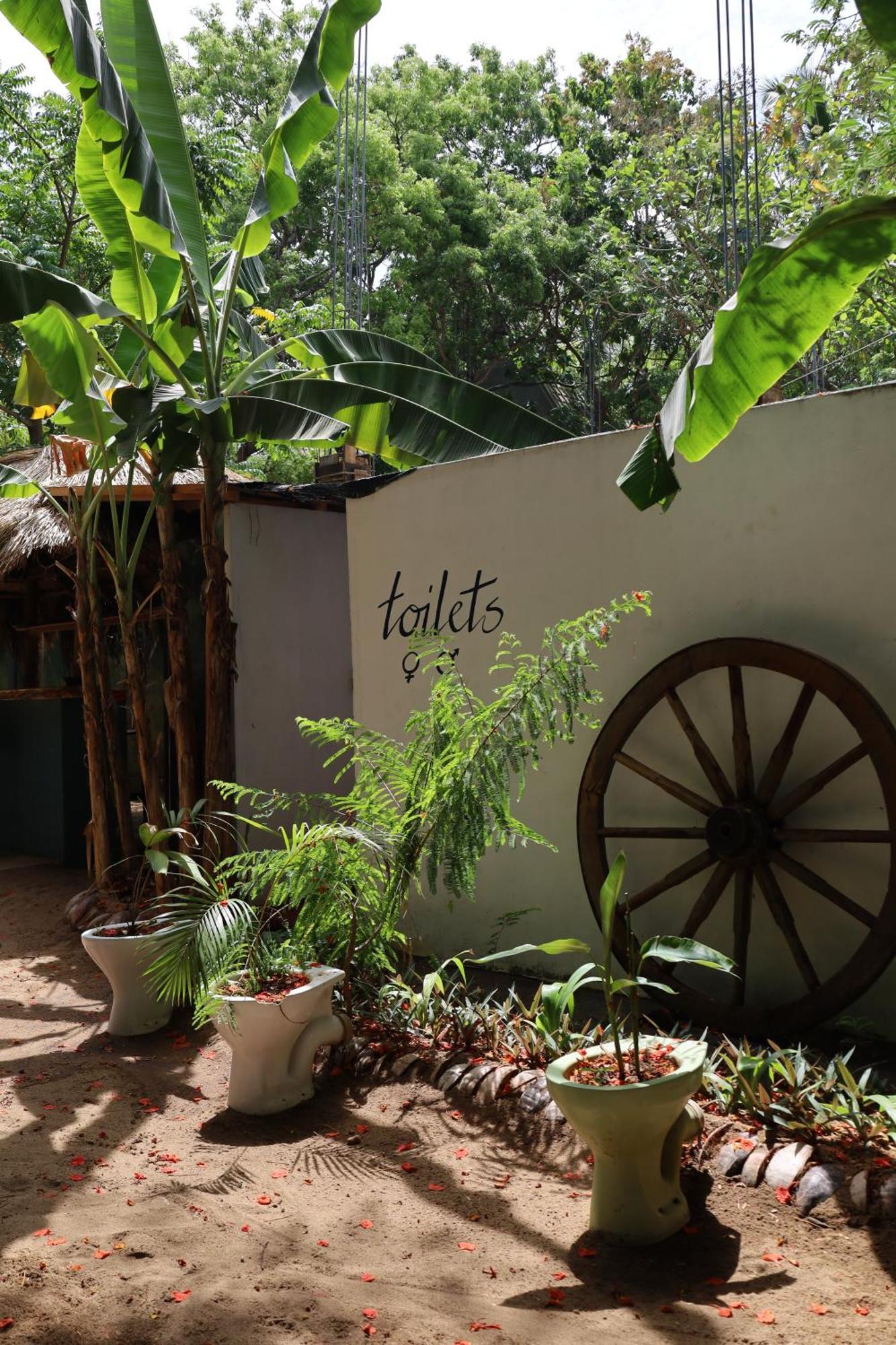 Waypoint Arugam Bay Hostel Ngoại thất bức ảnh